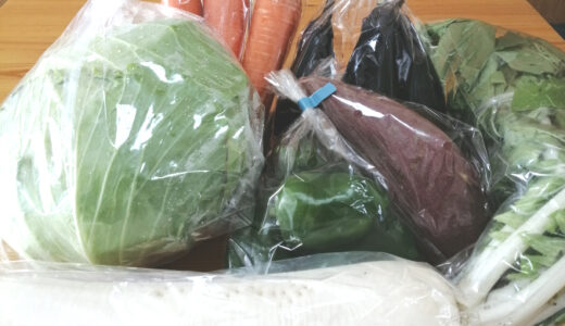 【ポケットマルシェ】いわいわファーム　11月